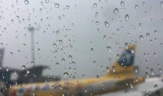 新加坡机场 新加坡机场